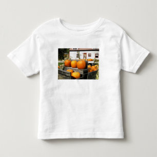 Camiseta Infantil EUA, Vermont. Abóboras