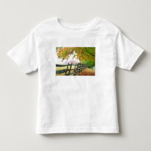 Camiseta Infantil EUA, Vermont. Cerca sob folhagem.