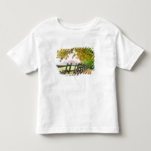 Camiseta Infantil EUA, Vermont. Cerca sob folhagem de outono.