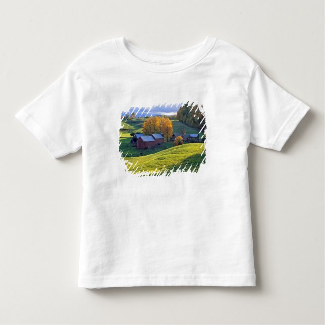 Camiseta Infantil EUA, Vermont, fazenda de Jenne. Colinas verdes de (Frente)