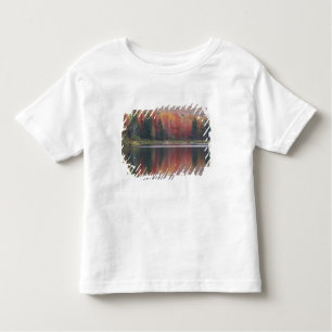 Camiseta Infantil EUA, Vermont, McAllister Lake, perto de Hazens Not