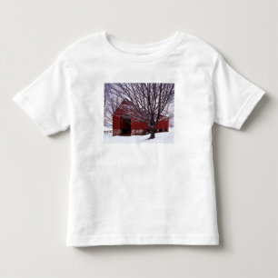Camiseta Infantil EUA, Virgínia, Condado de Fairfax, Celeiro e Bordo