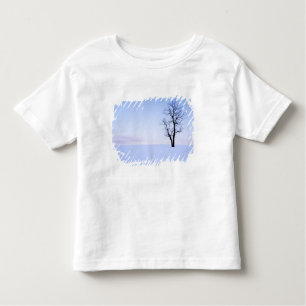 Camiseta Infantil EUA, Virginia, Condado de Page, Black Locust