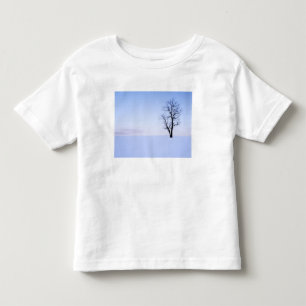Camiseta Infantil EUA, Virginia, Condado de Page, Black Locust