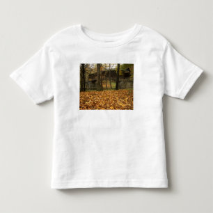 Camiseta Infantil EUA, Virgínia, Covington, Humpback Coberto