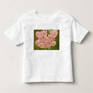 Camiseta Infantil EUA, Virgínia, Manassas, Manassas Nacional