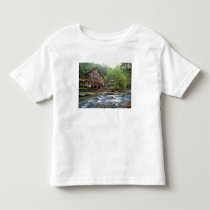 Camiseta Infantil EUA, Virgínia Ocidental, Babcock SP. Rustic Glade