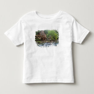 Camiseta Infantil EUA, Virgínia Ocidental, Babcock SP. Rustic Glade