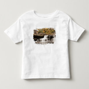 Camiseta Infantil EUA, Virgínia Ocidental, Clifftop. Babcock State
