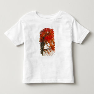 Camiseta Infantil EUA, Virgínia Ocidental, Davis. Bordo vermelho no