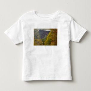 Camiseta Infantil EUA, Virgínia Ocidental, Fayetteville. Rio New