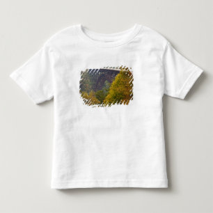 Camiseta Infantil EUA, Virgínia Ocidental, Fayetteville. Rio New