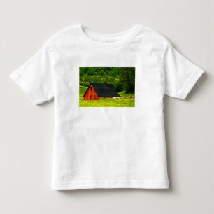 Camiseta Infantil EUA, Virgínia, Parque Nacional Shenandoah, 2