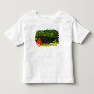 Camiseta Infantil EUA, Virgínia, Parque Nacional Shenandoah, 2