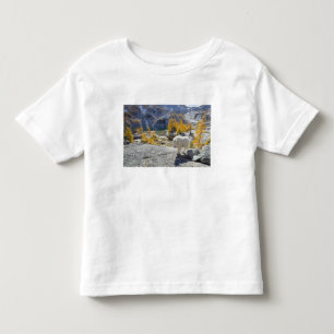 Camiseta Infantil EUA, WA, Alpine Lakes WIlderness Enchantments.