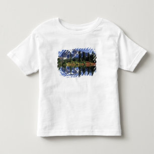 Camiseta Infantil EUA, WA, Heather Meadows RA. Monte Shuksan em