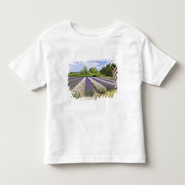 Camiseta Infantil EUA, WA, Sequim, Fazenda de Lavanda de Risco Roxo (Frente)