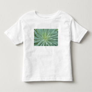 Camiseta Infantil EUA, Washington, Bellevue, Jardim Botânico de Bell