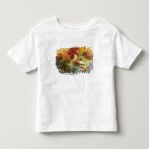 Camiseta Infantil EUA, Washington, Bellingham, Close-up do outono