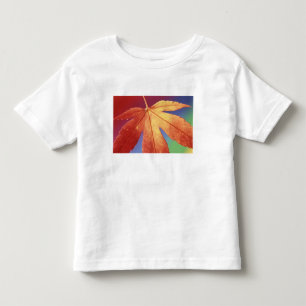Camiseta Infantil EUA, Washington, Bellingham. Crédito como: Steve