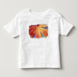 Camiseta Infantil EUA, Washington, Bellingham. Crédito como: Steve