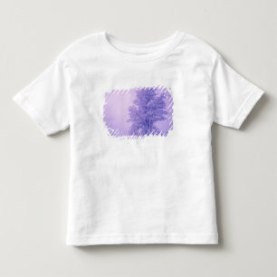 Camiseta Infantil EUA, Washington, Condado de Spokane, Congelado