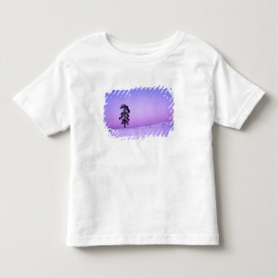 Camiseta Infantil EUA, Washington, Condado de Spokane, Riverside