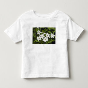 Camiseta Infantil EUA, Washington, Cornus do Pacífico, Cornus