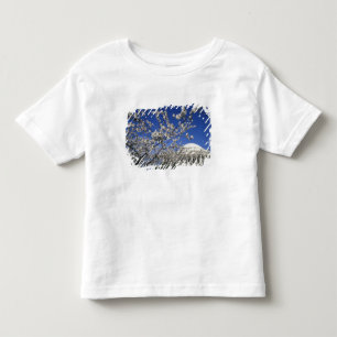 Camiseta Infantil EUA, Washington DC. Festival das Cerejeiras e 2