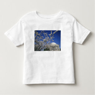 Camiseta Infantil EUA, Washington DC. Festival e 2 da flor de