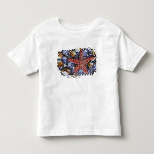 Camiseta Infantil EUA, Washington, Hood Canal, Seabeck. Close-up