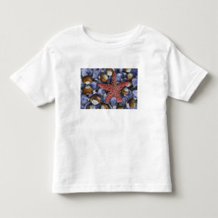 Camiseta Infantil EUA, Washington, Hood Canal, Seabeck. Close-up
