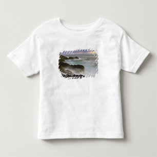 Camiseta Infantil EUA, Washington, Ilhas San Juan. As ondas se choca