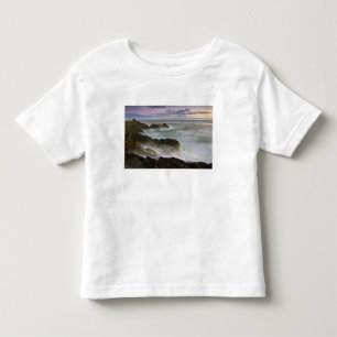Camiseta Infantil EUA, Washington, Ilhas San Juan. Ondas batem