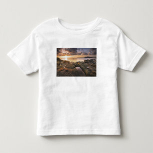 Camiseta Infantil EUA, Washington, Ilhas San Juan. Um dramático 2