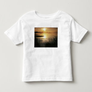 Camiseta Infantil EUA, Washington, Lopez Island, Nevoeiro da manhã e