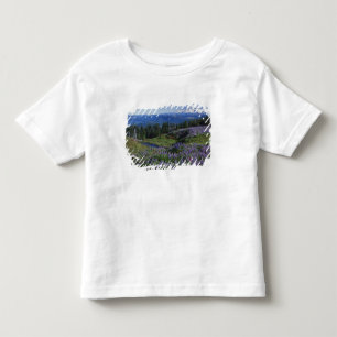 Camiseta Infantil EUA, Washington Mt. Adams Wilderness, Prados