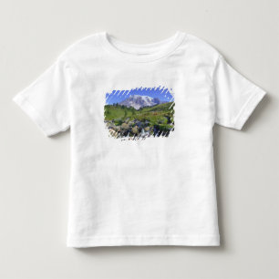 Camiseta Infantil EUA, Washington, Mt. Rainier NP, Mt. Rainier e 2