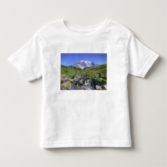 Camiseta Infantil EUA, Washington, Mt. Rainier NP, Mt. Rainier e 2 (Frente)