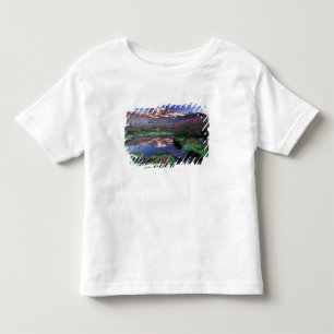 Camiseta Infantil EUA, Washington, Mt. Rainier NP, nascer do sol,