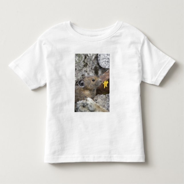 Camiseta Infantil EUA, Washington, North Cascades National Park, (Frente)
