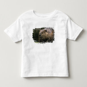 Camiseta Infantil EUA, Washington, Northwest Trek. Castor