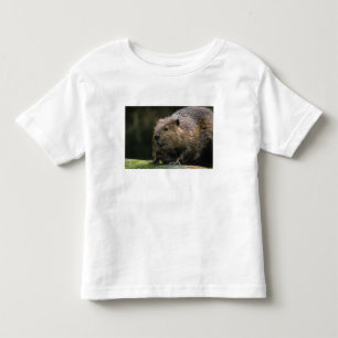 Camiseta Infantil EUA, Washington, Northwest Trek. Castor