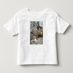 Camiseta Infantil EUA, Washington, Parque Nacional North Cascades,