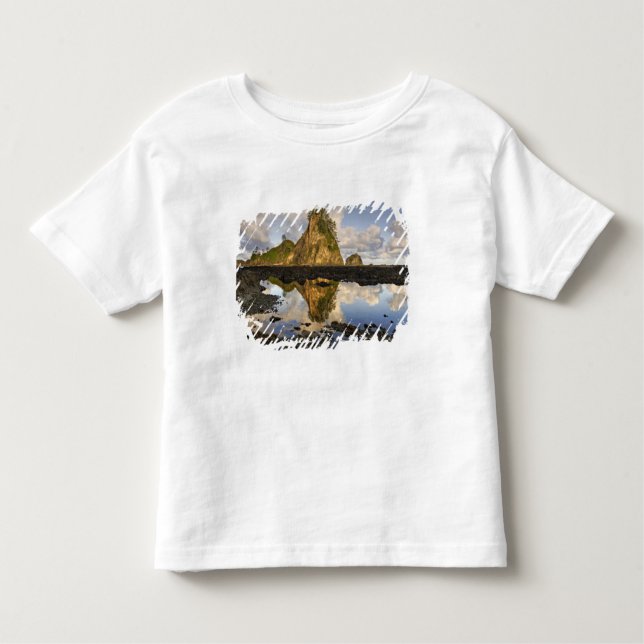 Camiseta Infantil EUA, Washington, Parque Nacional Olimpiadas.A (Frente)