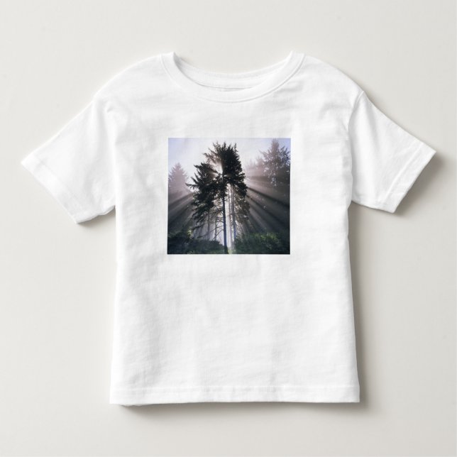 Camiseta Infantil EUA, Washington, Parque Nacional Olimpiadas, Manhã (Frente)