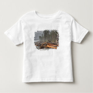Camiseta Infantil EUA, Washington, Parque Nacional Olimpiadas, Rialt