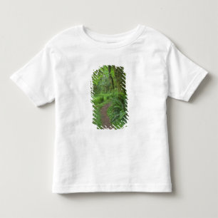 Camiseta Infantil EUA, Washington, Parque Nacional Olímpico,
