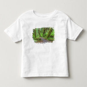 Camiseta Infantil EUA, Washington, Parque Nacional Olímpico, Chuva d