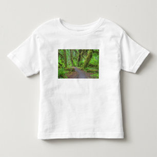 Camiseta Infantil EUA, Washington, Parque Nacional Olímpico, Chuva d